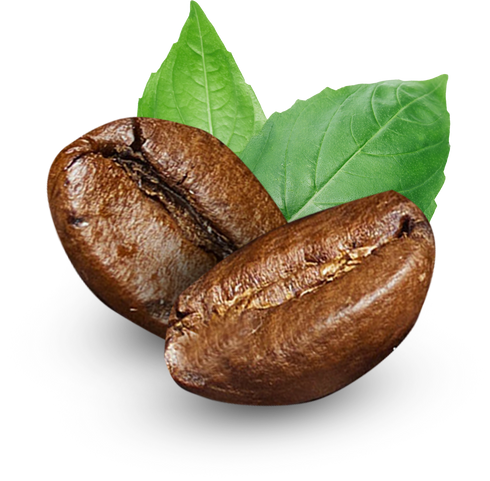 Roasted coffee beans with coffee leaves isolated